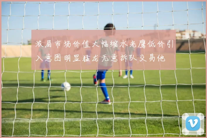 浓眉市场价值大幅缩水老鹰低价引入意图明显猛龙无意拆队交易他